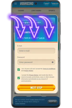 Enter email password for Vegasino account